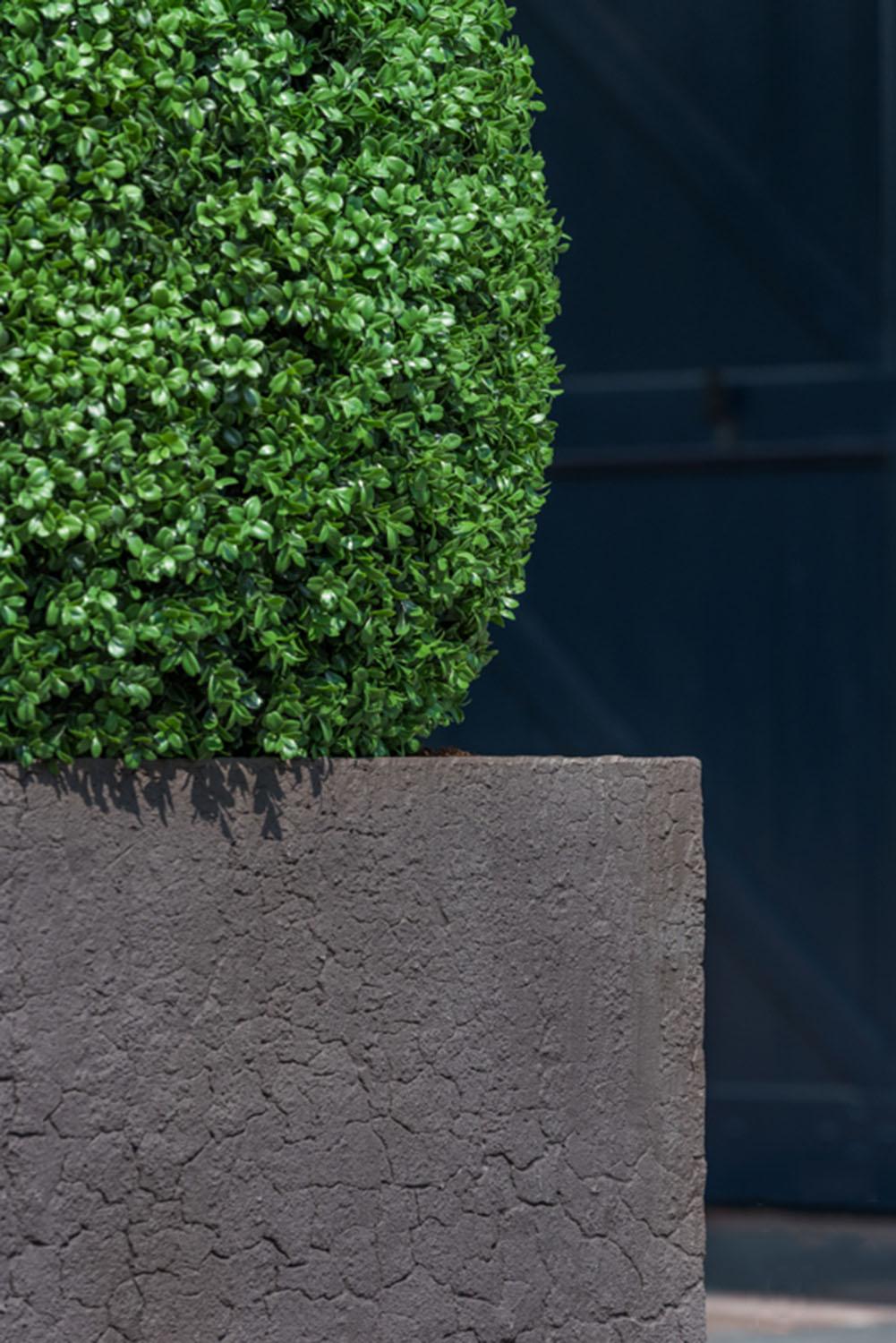 Fibrestone Jumbo Sundried Square Planter by Idealist Premium