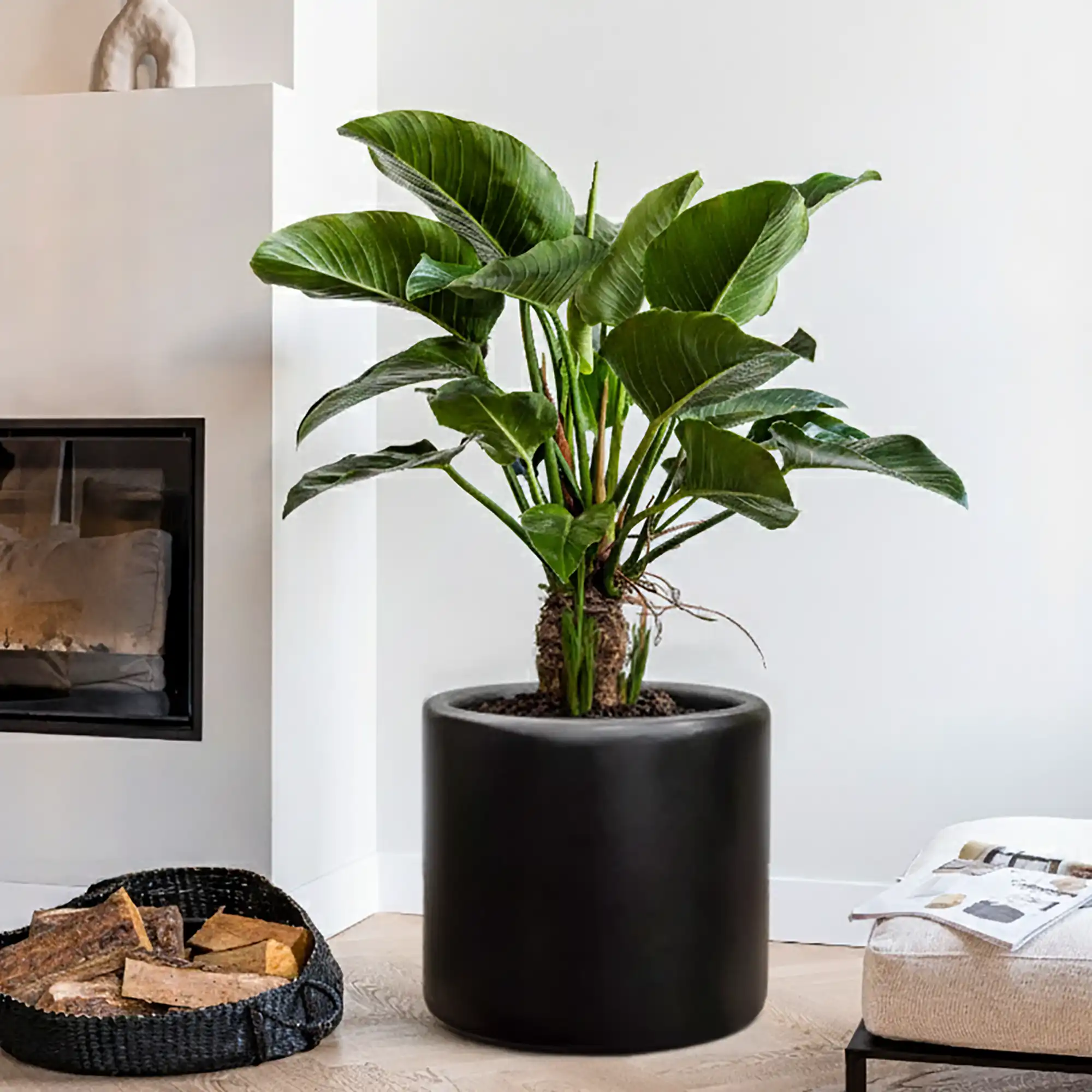 Blend Cylinder Round Planter IN\OUT