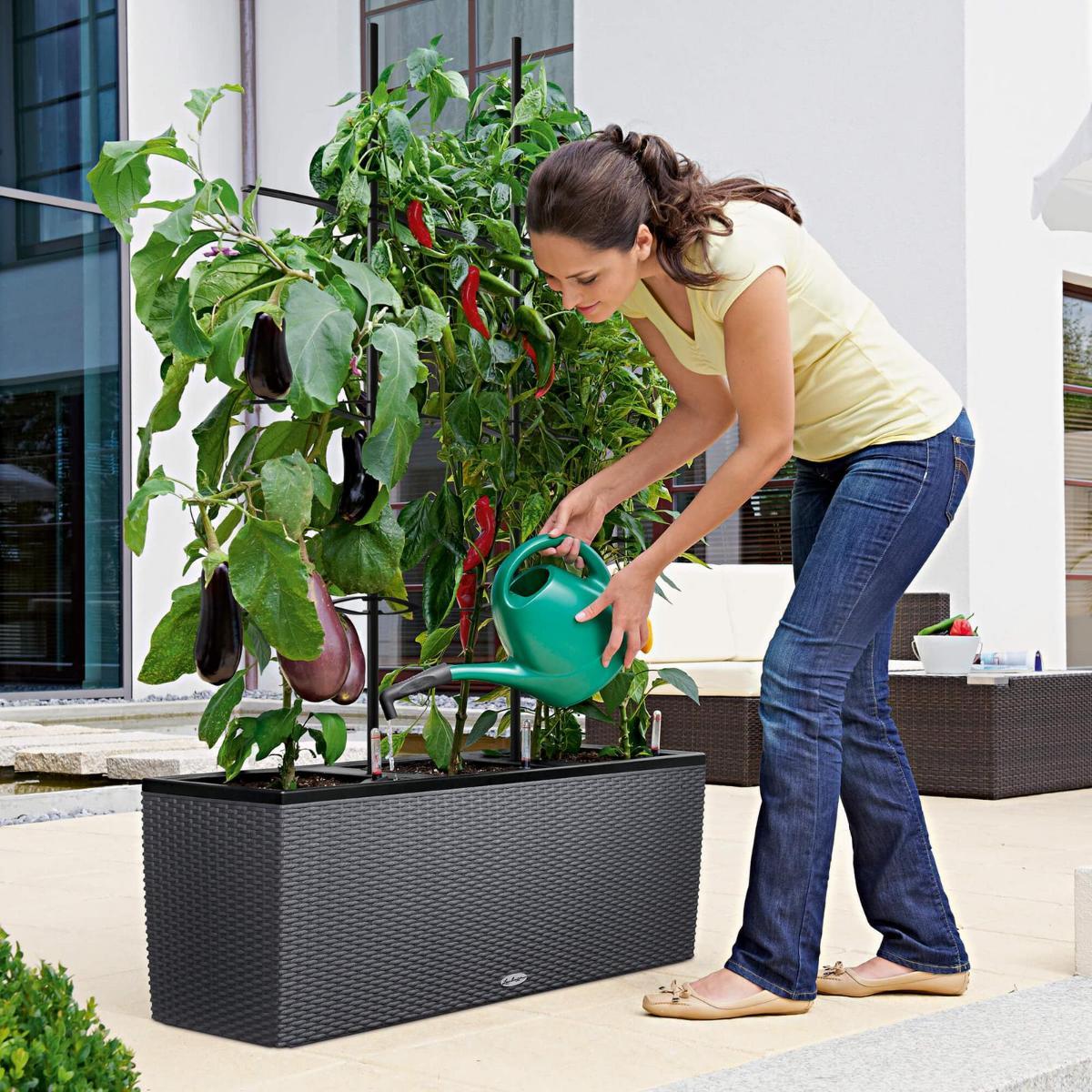 LECHUZA TRIO Cottage Trough Poly Resin Self-watering Planter