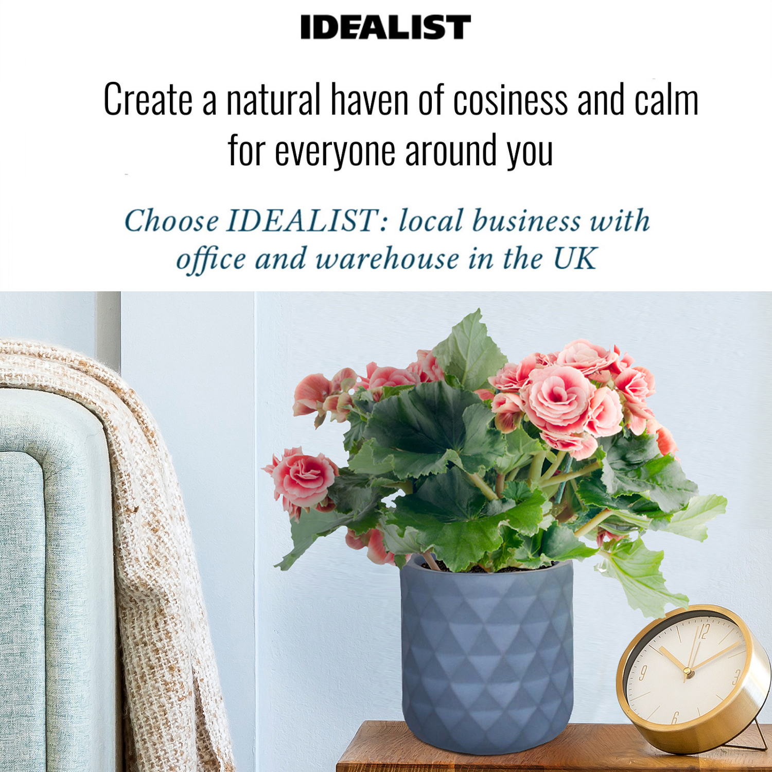 IDEALIST Lite Diamond Style Indoor Hanging Planter