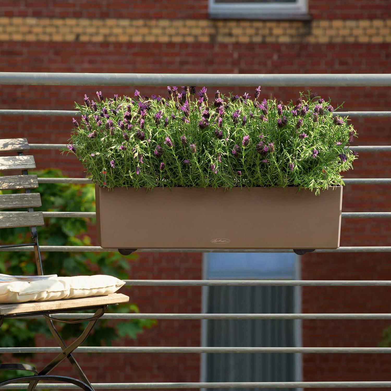LECHUZA BALCONERA Color Trough Poly Resin Self-watering Planter