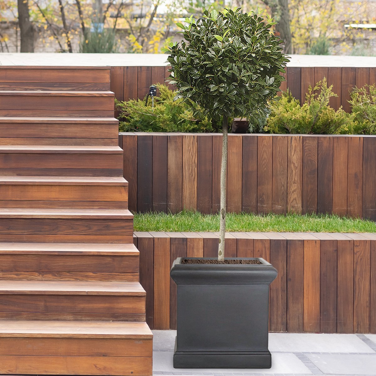 Self-Watering Planters Buying Guide