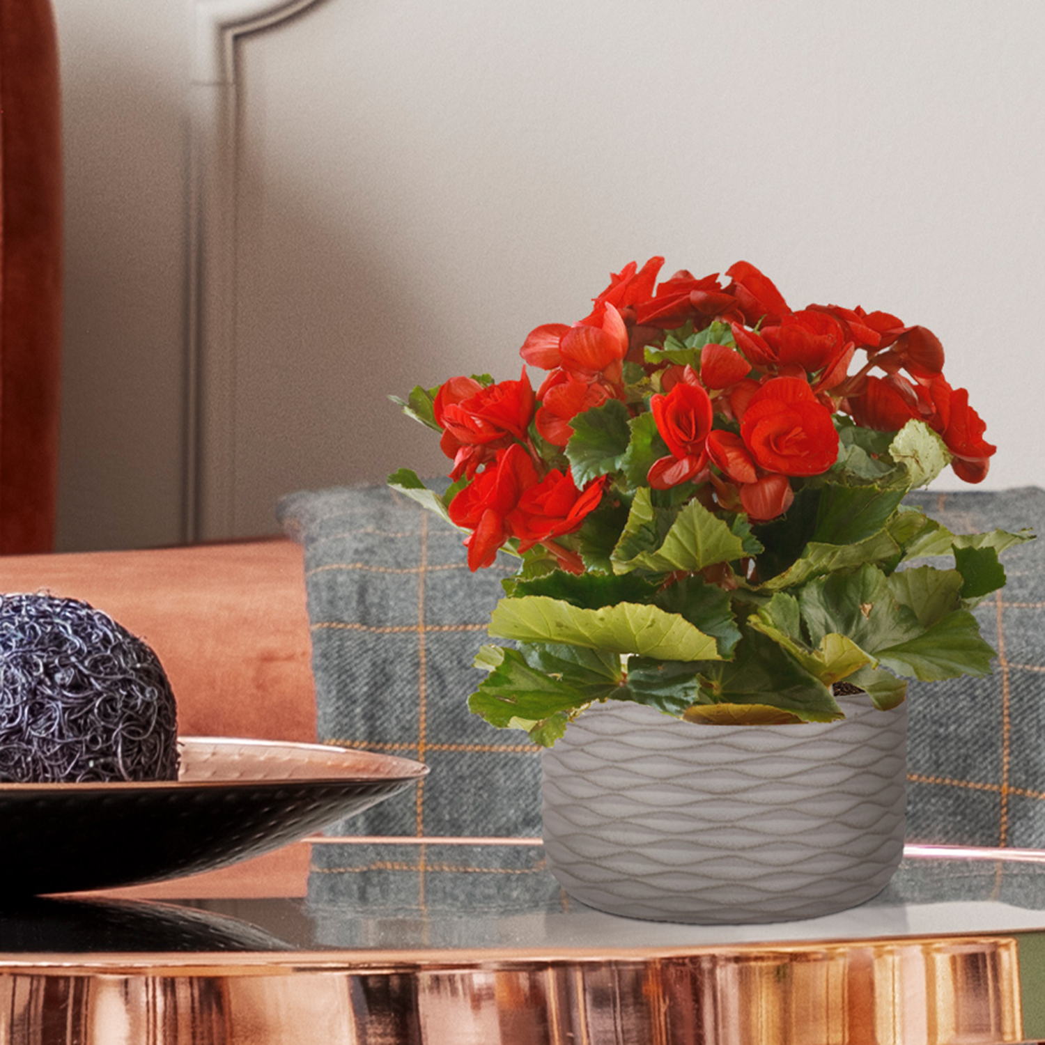 IDEALIST Lite Wave Style Table and Hanging Cylinder Round Plant Pot Dual Use Indoor Planter