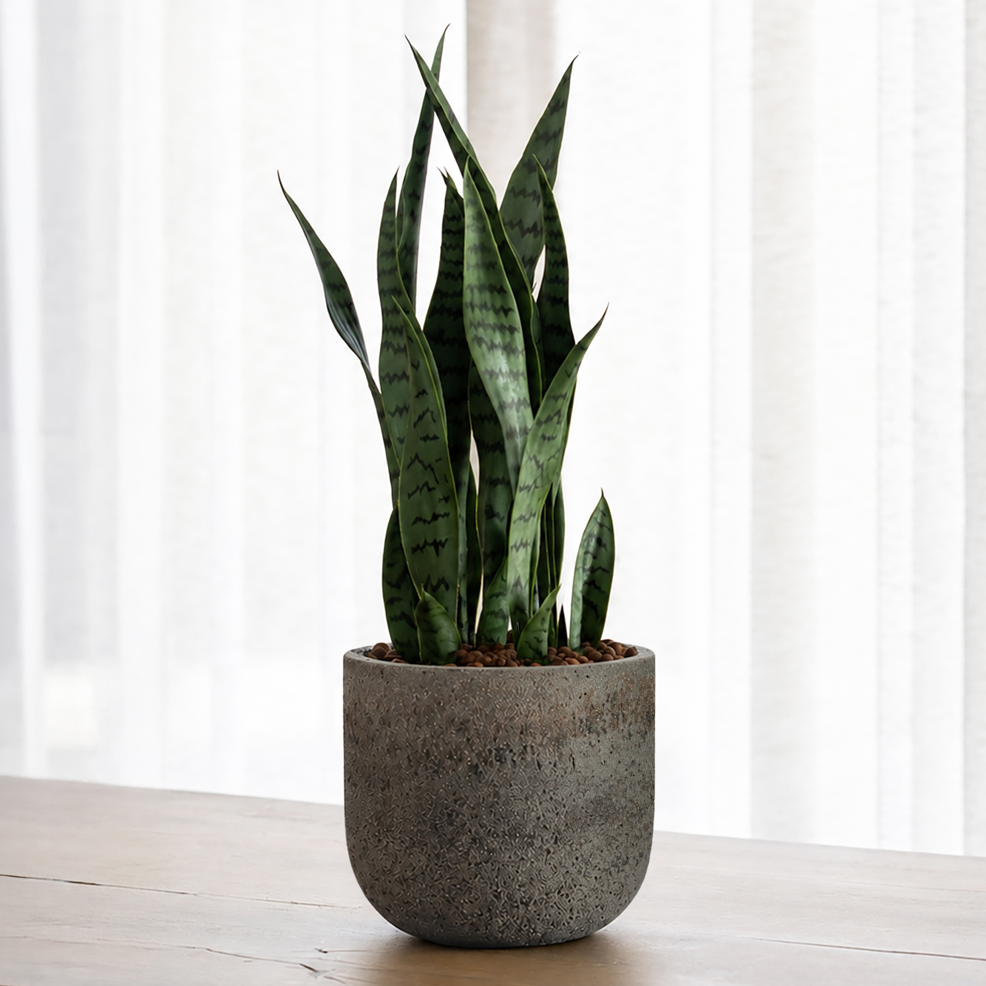 Cement & Stone Round Planter | Indoor and Outdoor Plant Pot