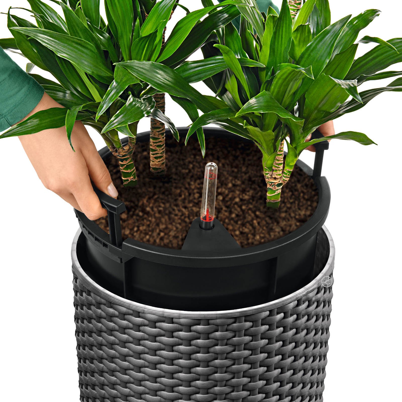 LECHUZA CILINDRO Cottage Round Tall Poly Resin Self-watering Planter