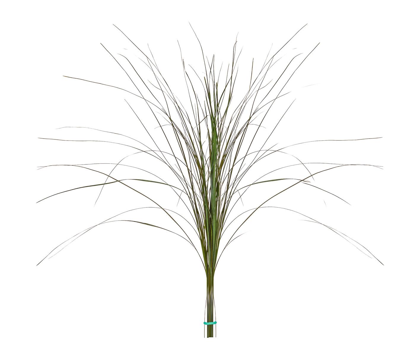 Bear Flame Retardant Artificial Grass Plant