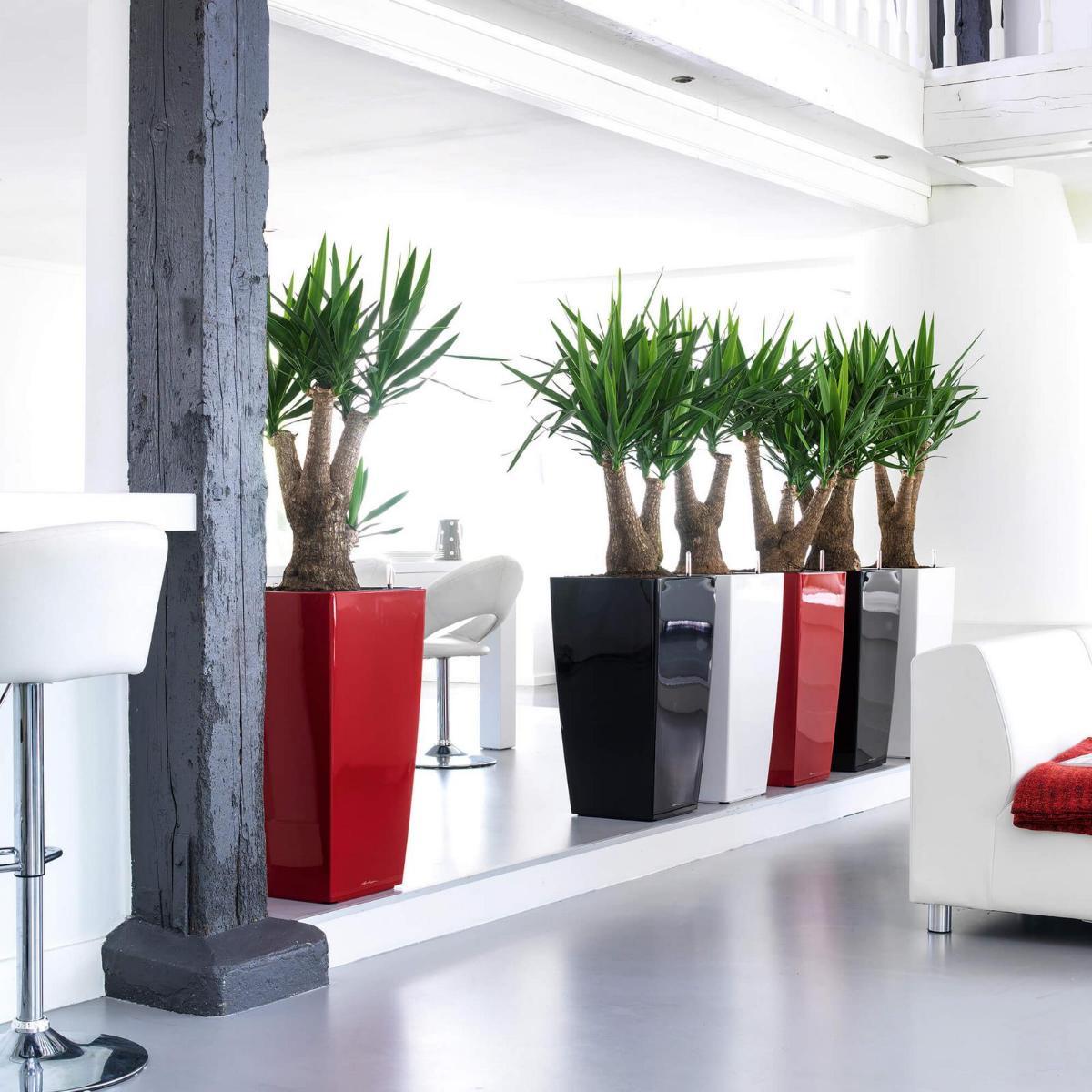 LECHUZA CUBICO Square Tall Poly Resin Self-watering Planter