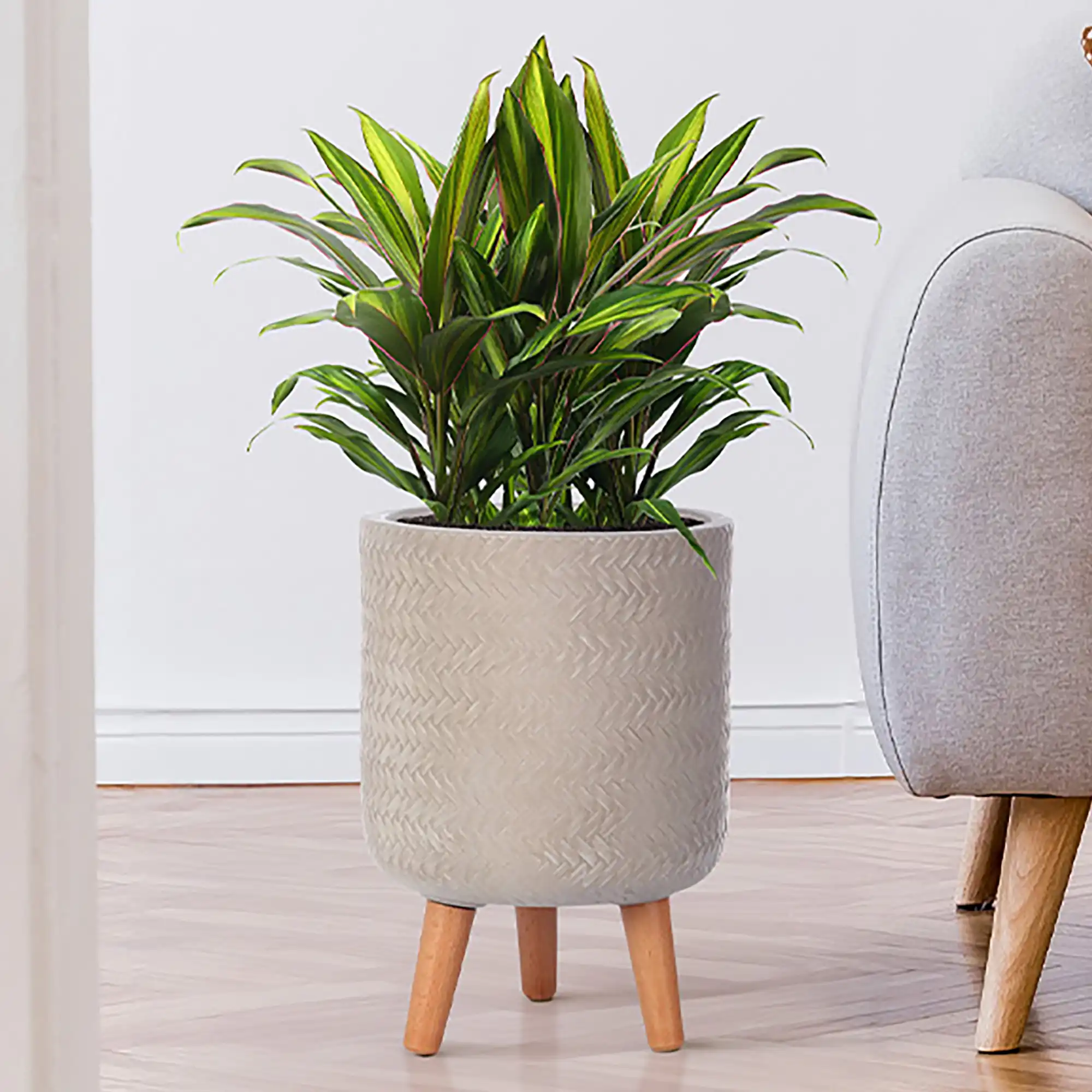 IDEALIST Lite Plaited Style Cylinder Planter on Legs, Round Pot Plant Stand Indoor