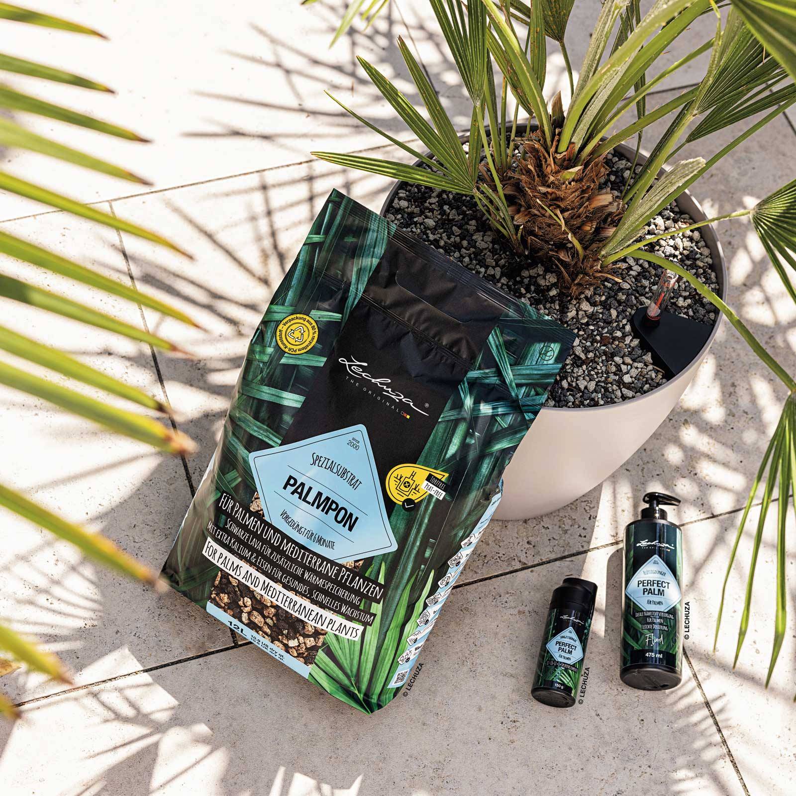 LECHUZA PALMPON Potting Soil Compost for Palms and Mediterranean Plants Potting  Mix, 12L - from 18.99 | Getpotted.com