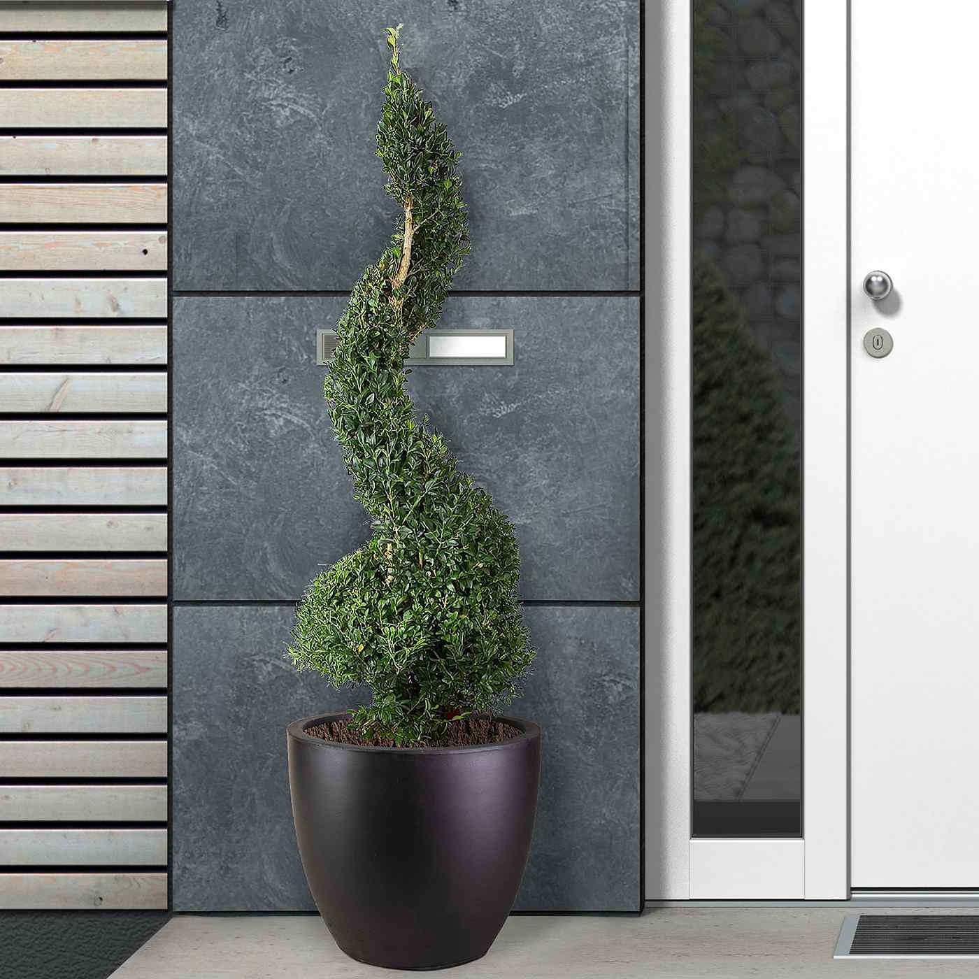 IDEALIST Lite Contemporary Light Concrete Egg Planter