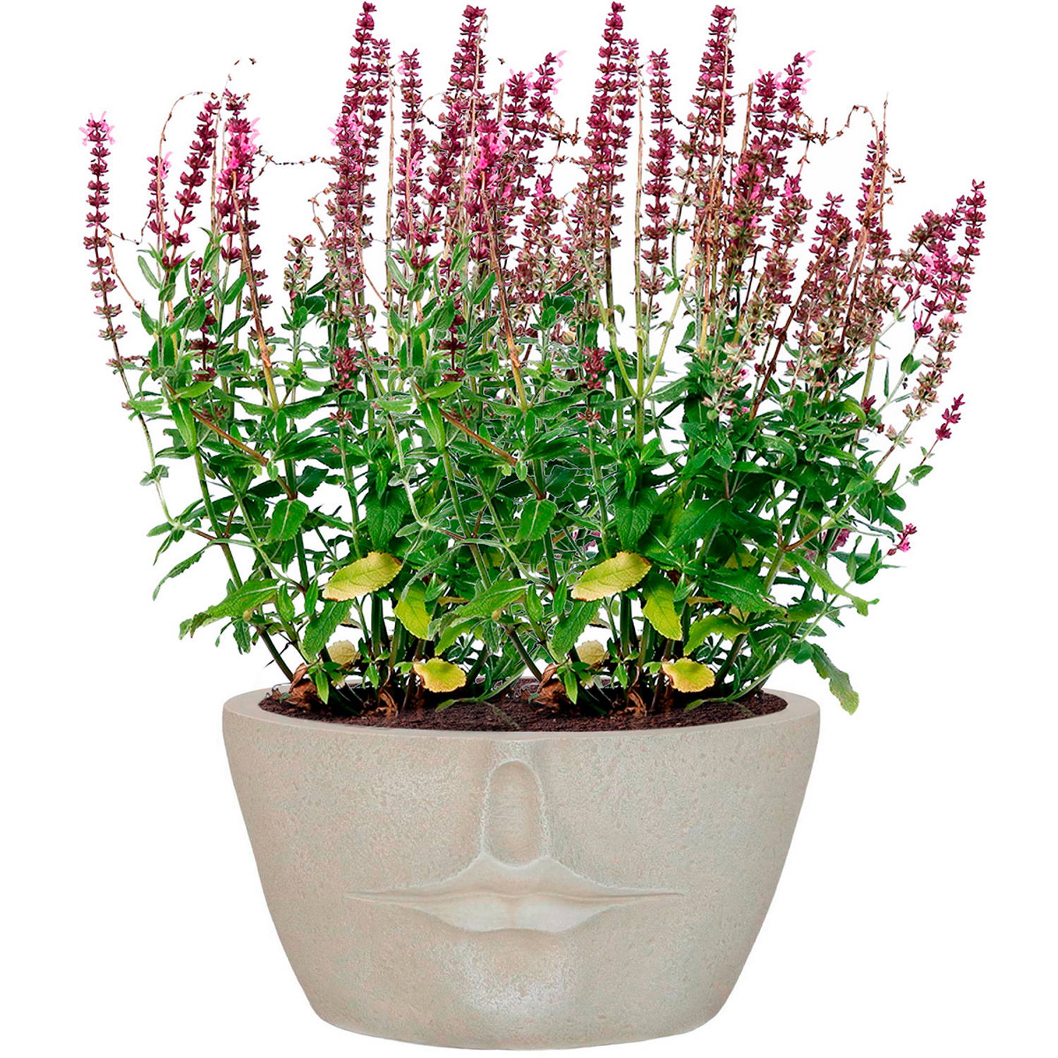 IDEALIST Lite Textured Concrete Effect Oval Face Outdoor Plant Pot with Lips