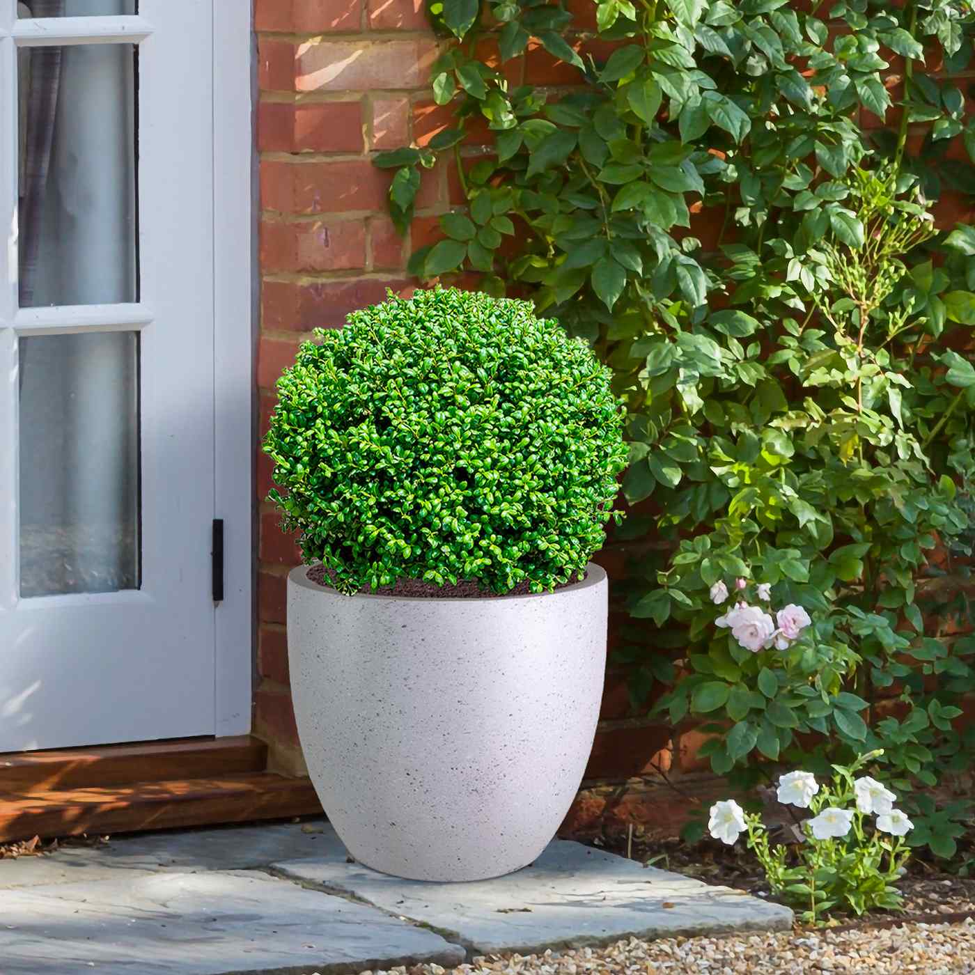 IDEALIST Lite Contemporary Light Concrete Egg Planter