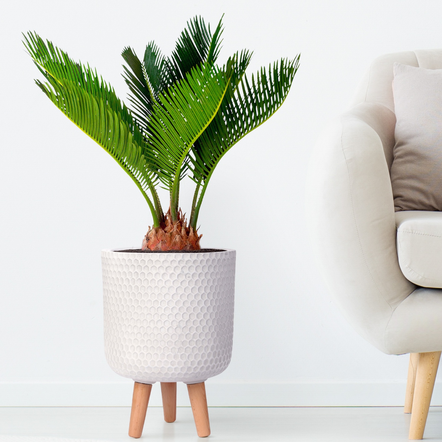 IDEALIST Lite Honeycomb Style Cylinder Planter on Legs, Round Pot Plant Stand Indoor