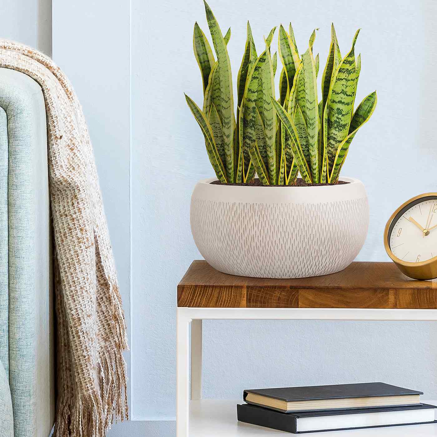 IDEALIST Lite Mesh Style Bowl Planter Outdoor Plant Pot