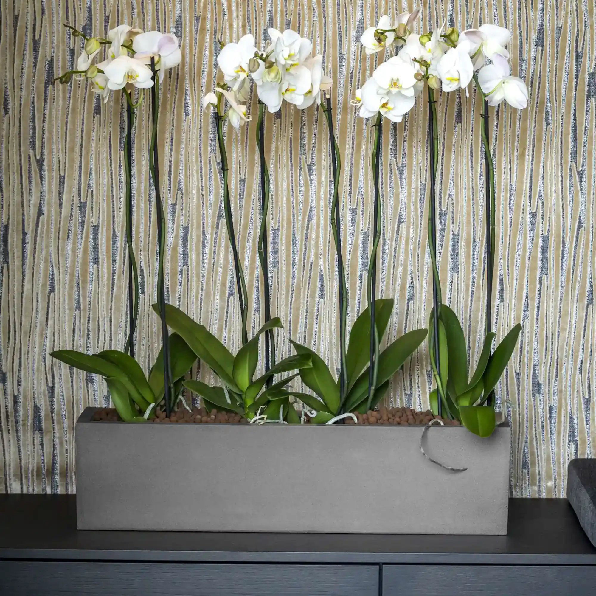 WINDOW BOX Fiberstone Planter by Idealist Premium Balcony