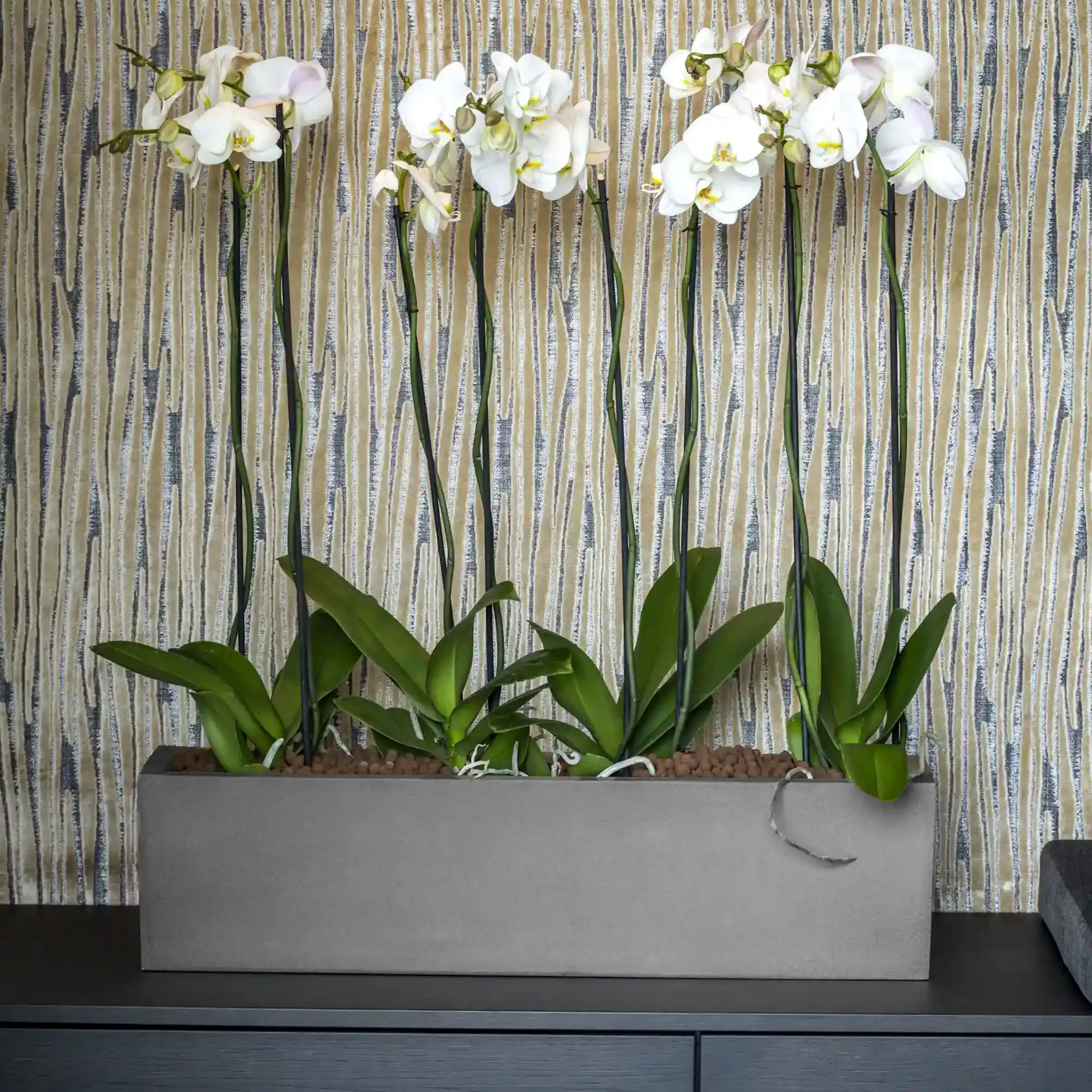 WINDOW BOX Fiberstone Planter by Idealist Premium Balcony WINDOW BOX Fiberstone Planter by Idealist Premium Balcony