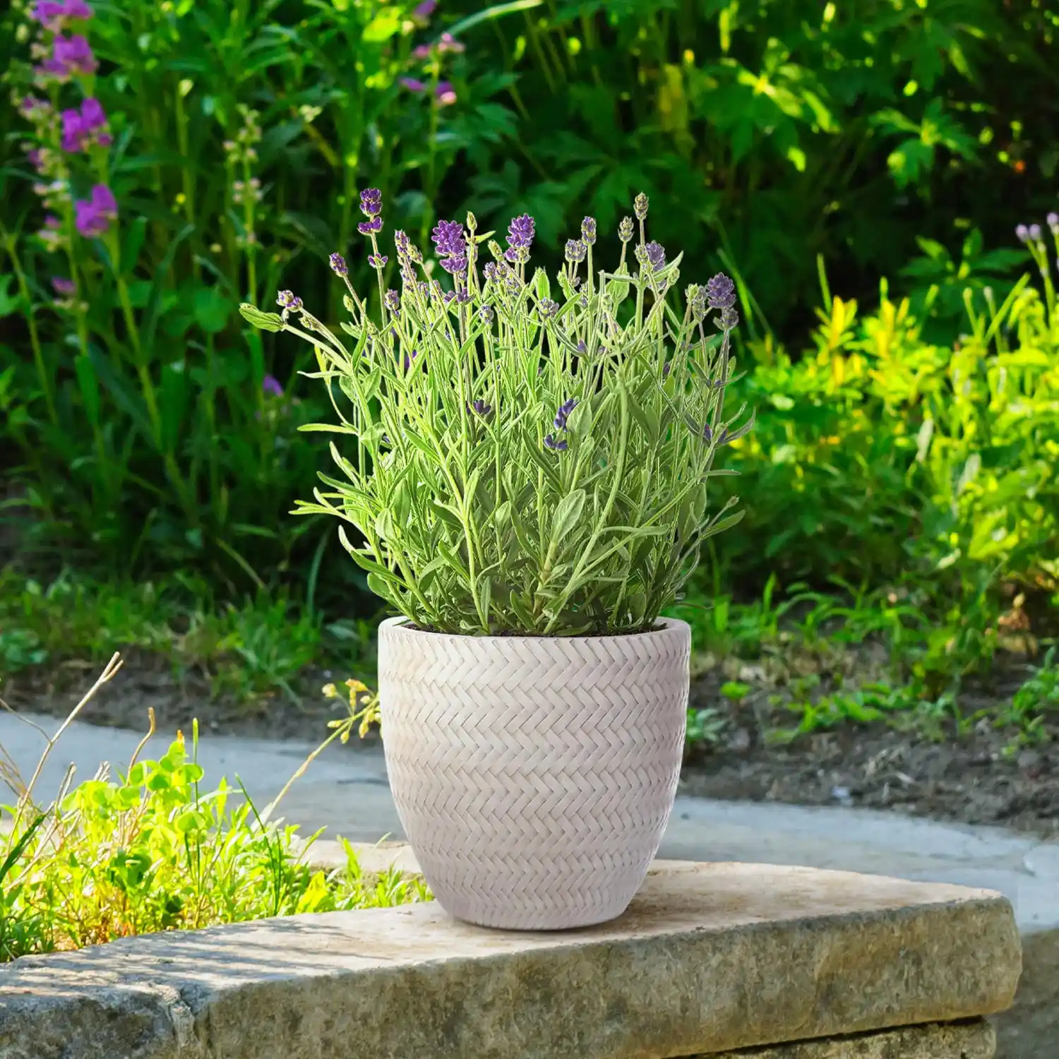 IDEALIST Lite Plaited Style Round Planter Outdoor Plant Pot
