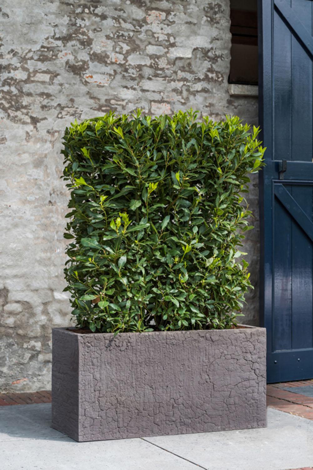Fibrestone Jort Rectangle Planter by Idealist Premium