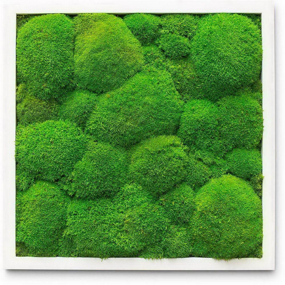 PREMIUM Moss Wall Art Artificial Moss Plant