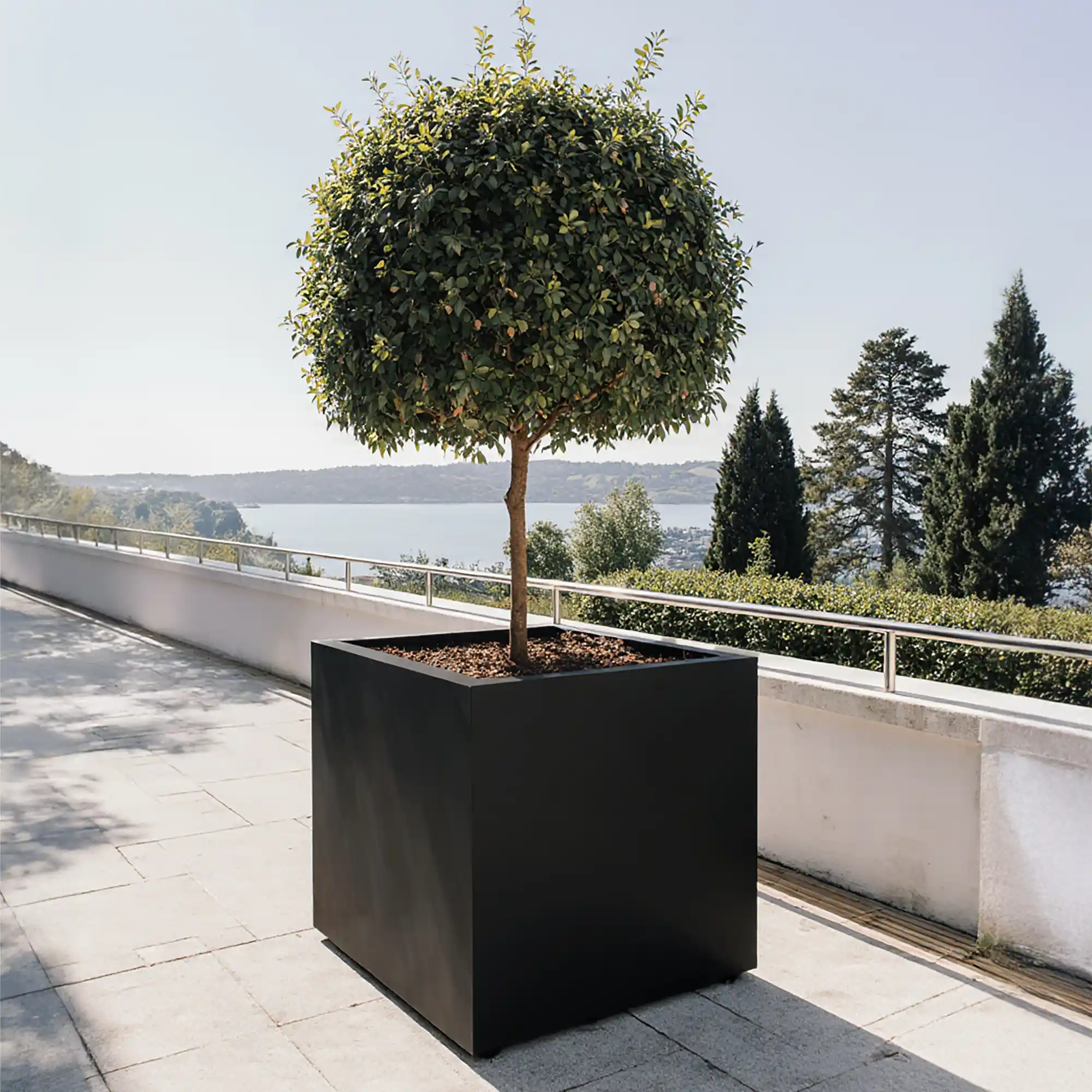 IDEALIST Lite Square Box Contemporary Light Concrete Planter