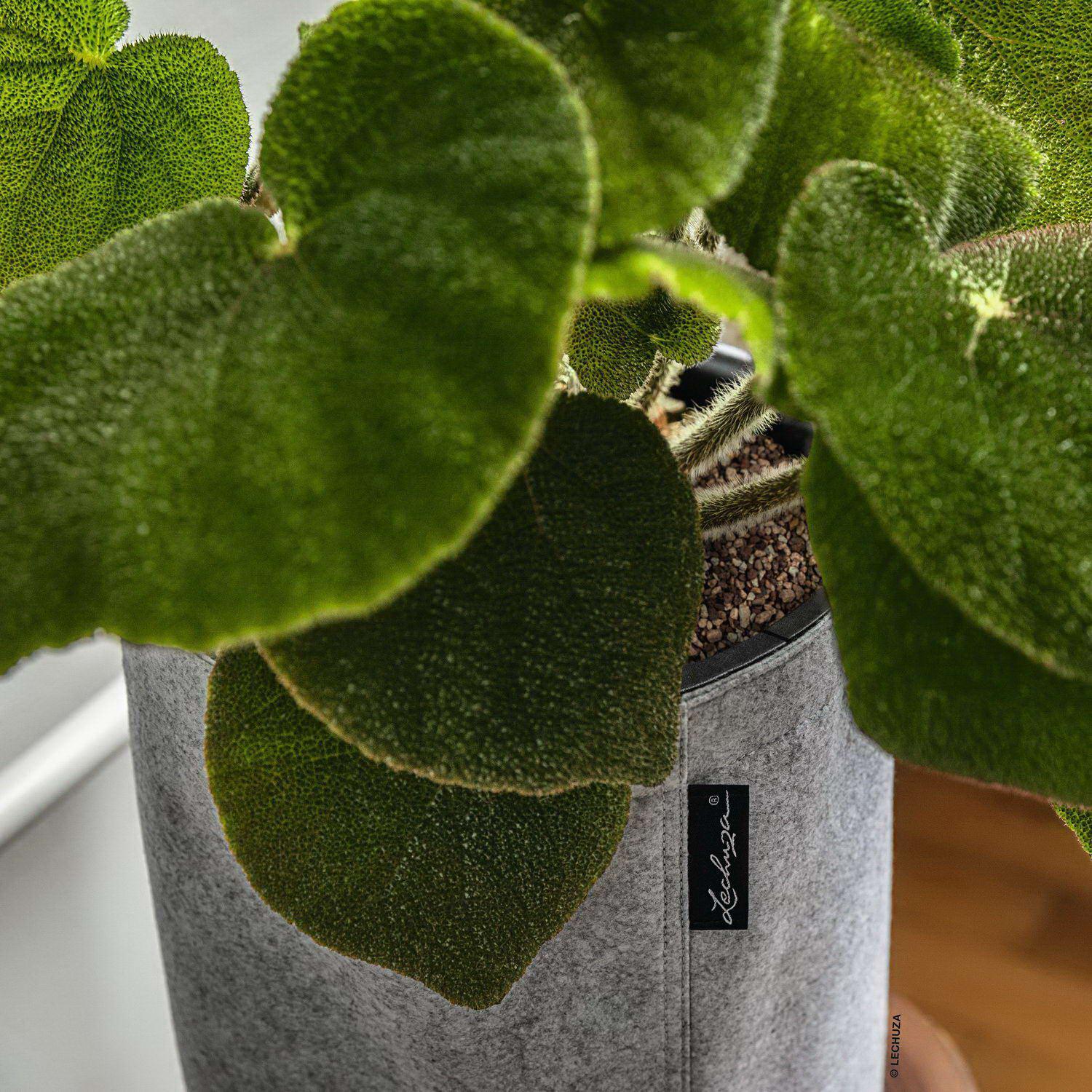 LECHUZA TRENDCOVER Round Self-watering Planter