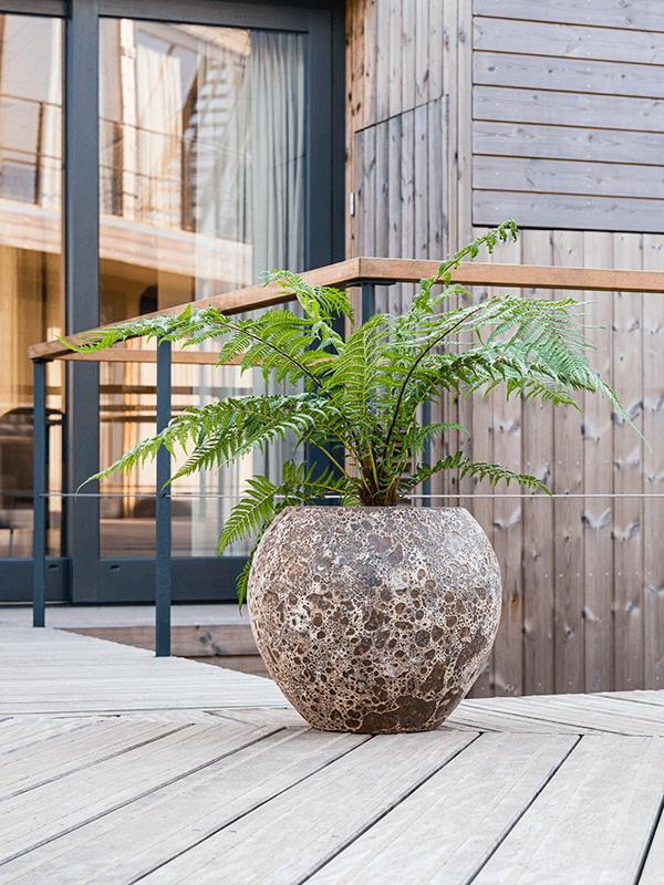 Lava Ceramic Planter | Indoor and Outdoor Plant Pot