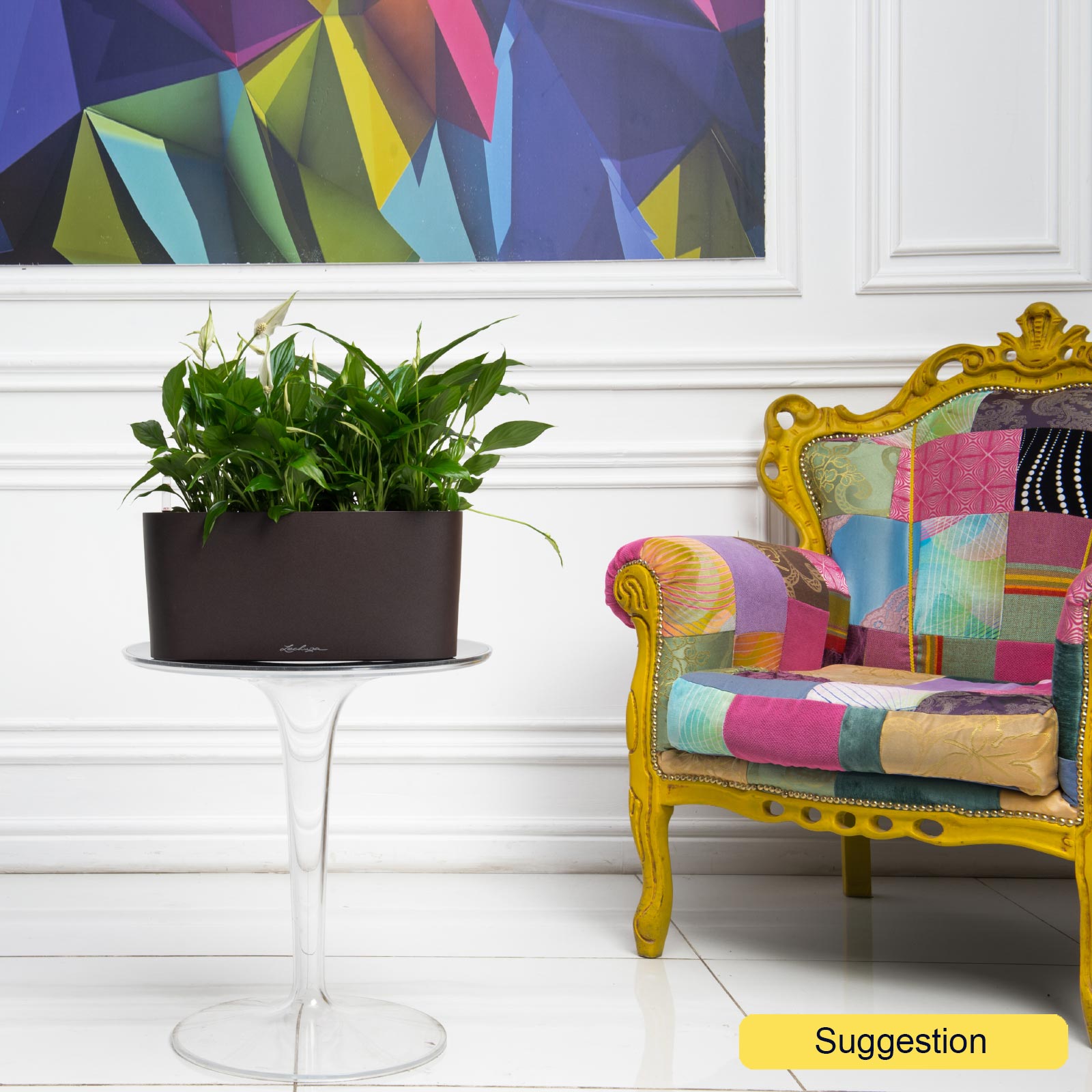 Lush Peace Lily Spathiphyllum 'Sensation' Indoor House Plants