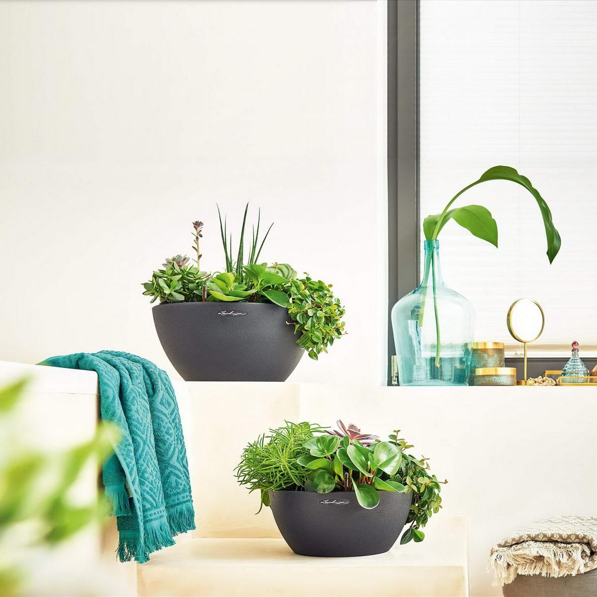 LECHUZA CUBETO COLOR Round Stone Look Poly Resin Self-watering Planter Set