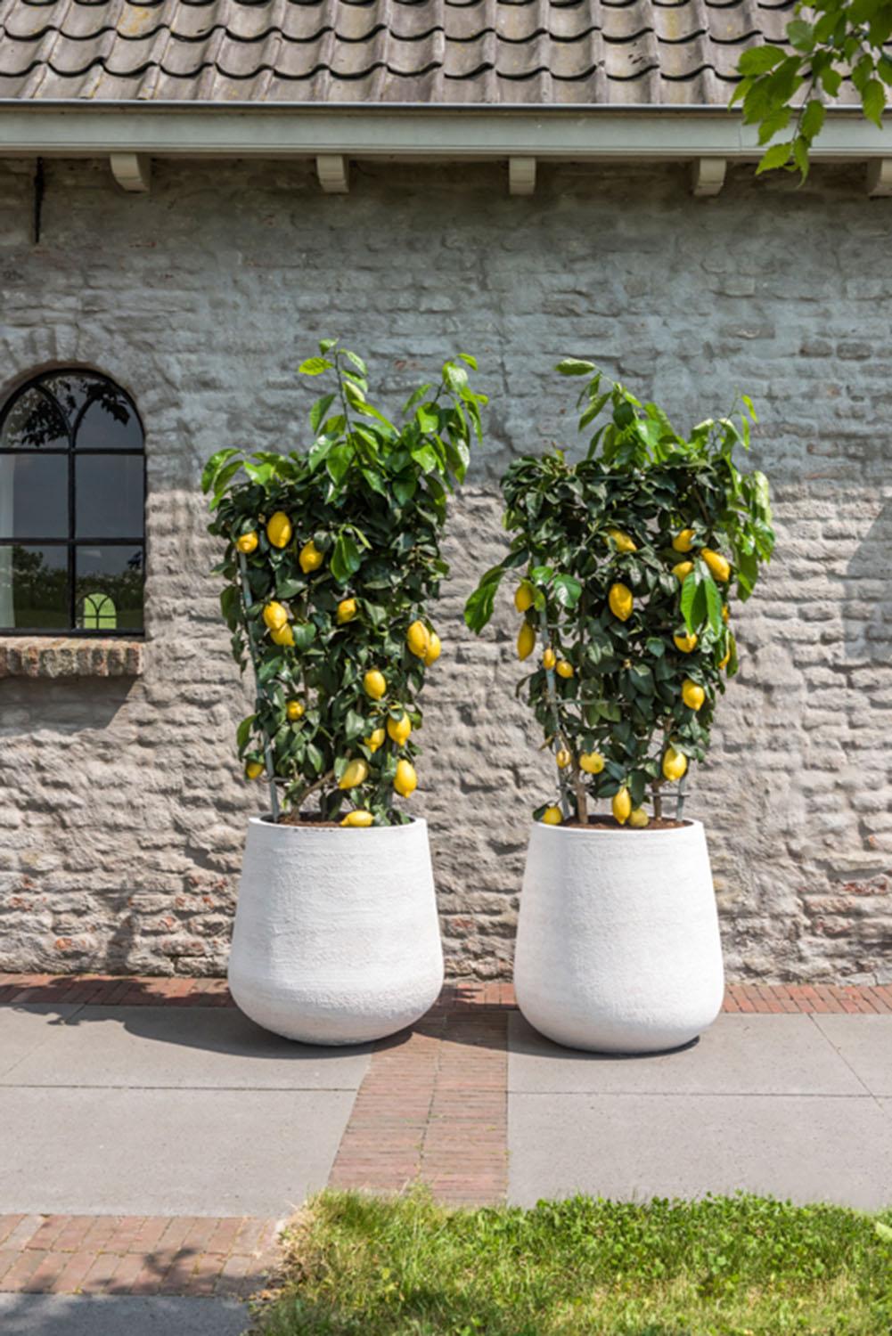 Fibrestone Pax Round Planter by Idealist Premium