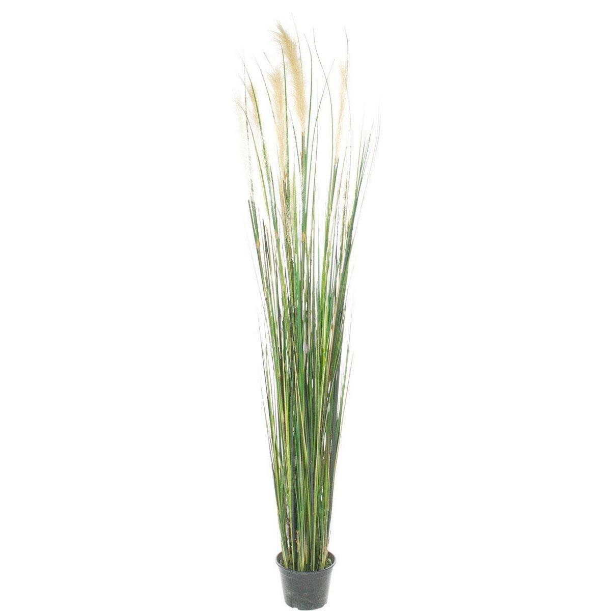 CATTTAIL (TYPHA) Artificial Grass Plant