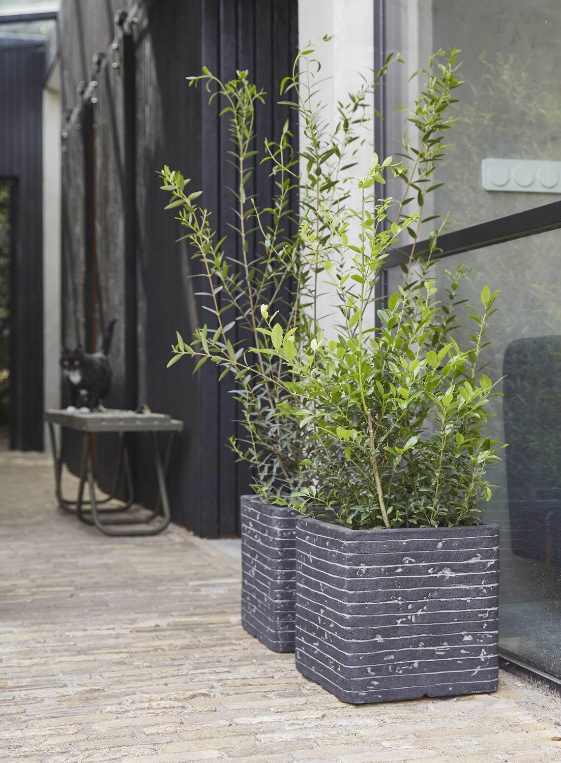 Square Resin Planter by Cadix Capi Tutch Row