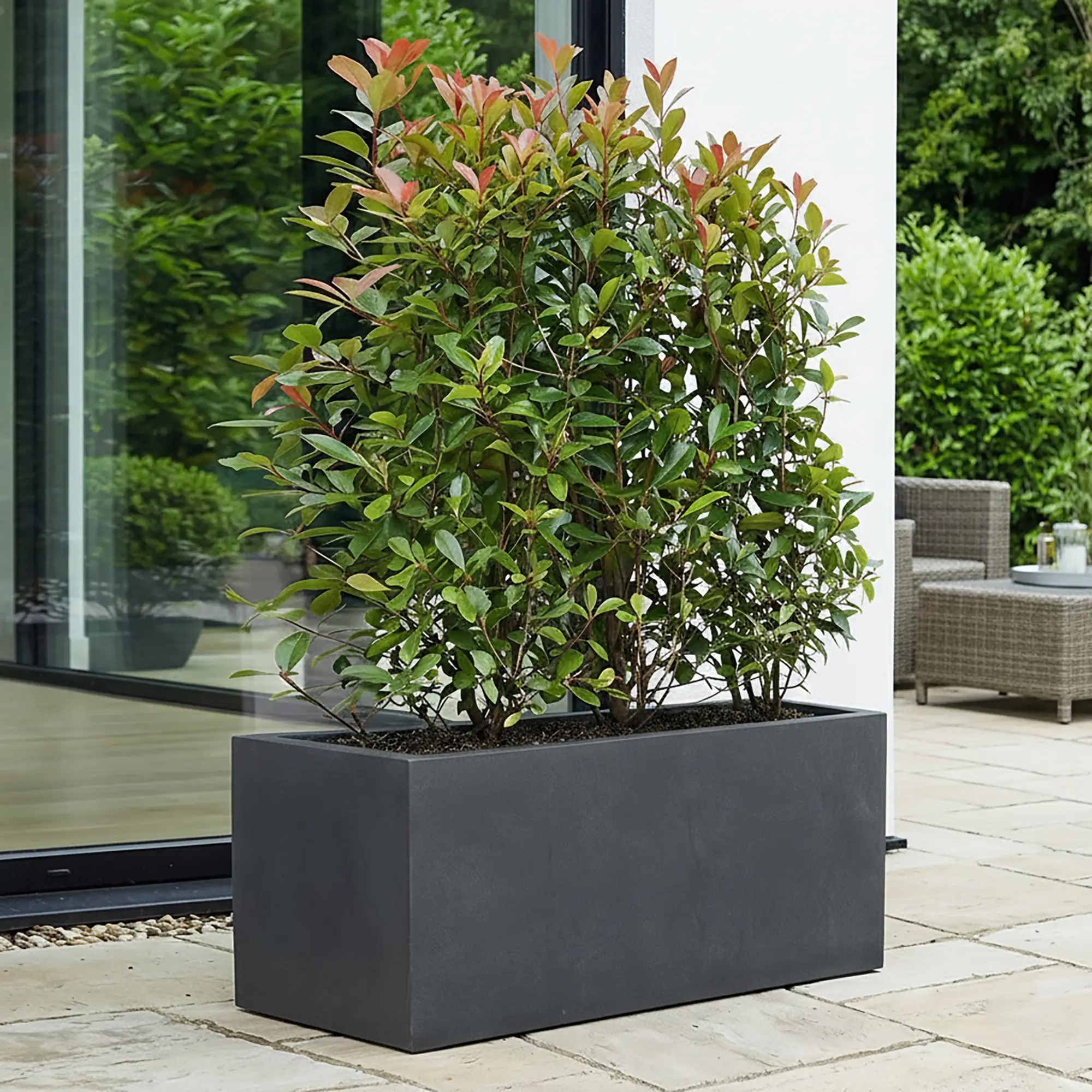 IDEALIST Lite Contemporary Light Concrete Trough Planter