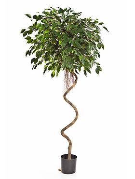 Ficus Exotica Spiral Artificial Tree Plant