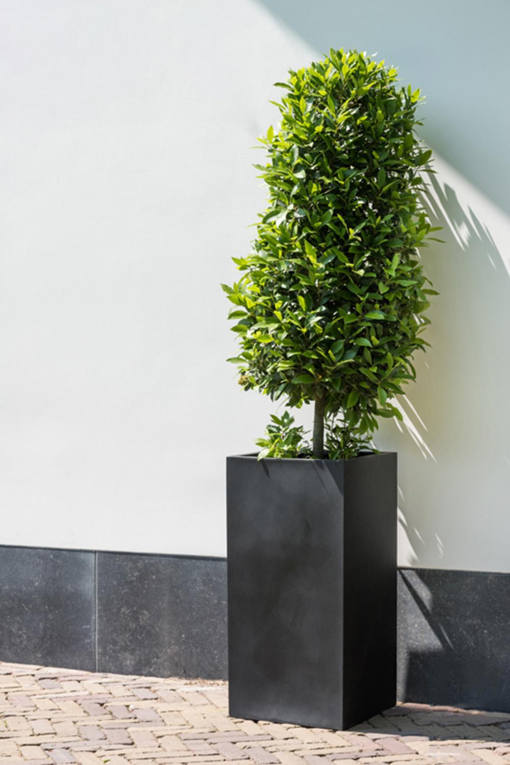 Tall Fiberstone Square Planter by Idealist Premium BOUVY