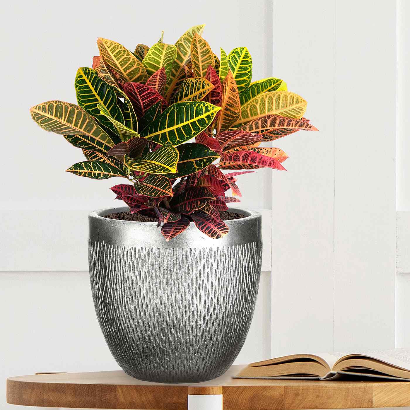 IDEALIST Lite Mesh Style Round Indoor Planter