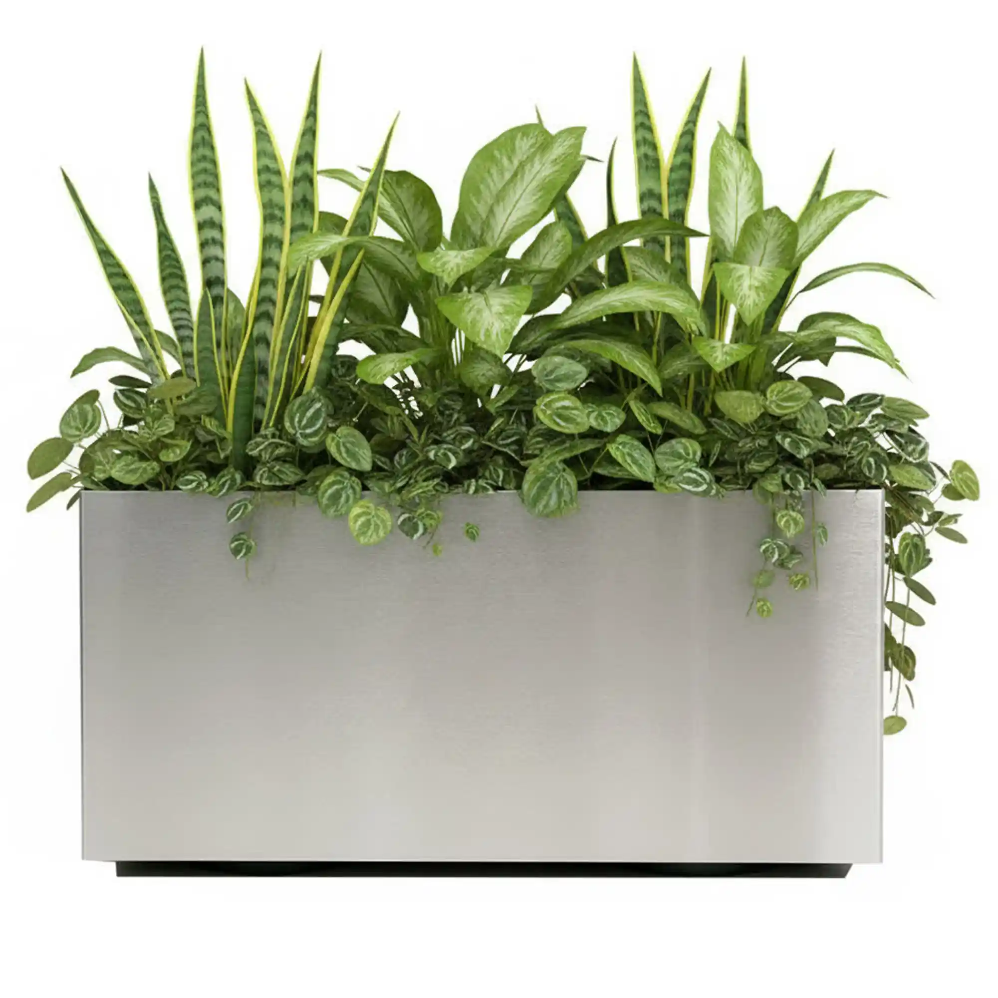 Superline Trend on Wheels Rectangle Indoor Planter