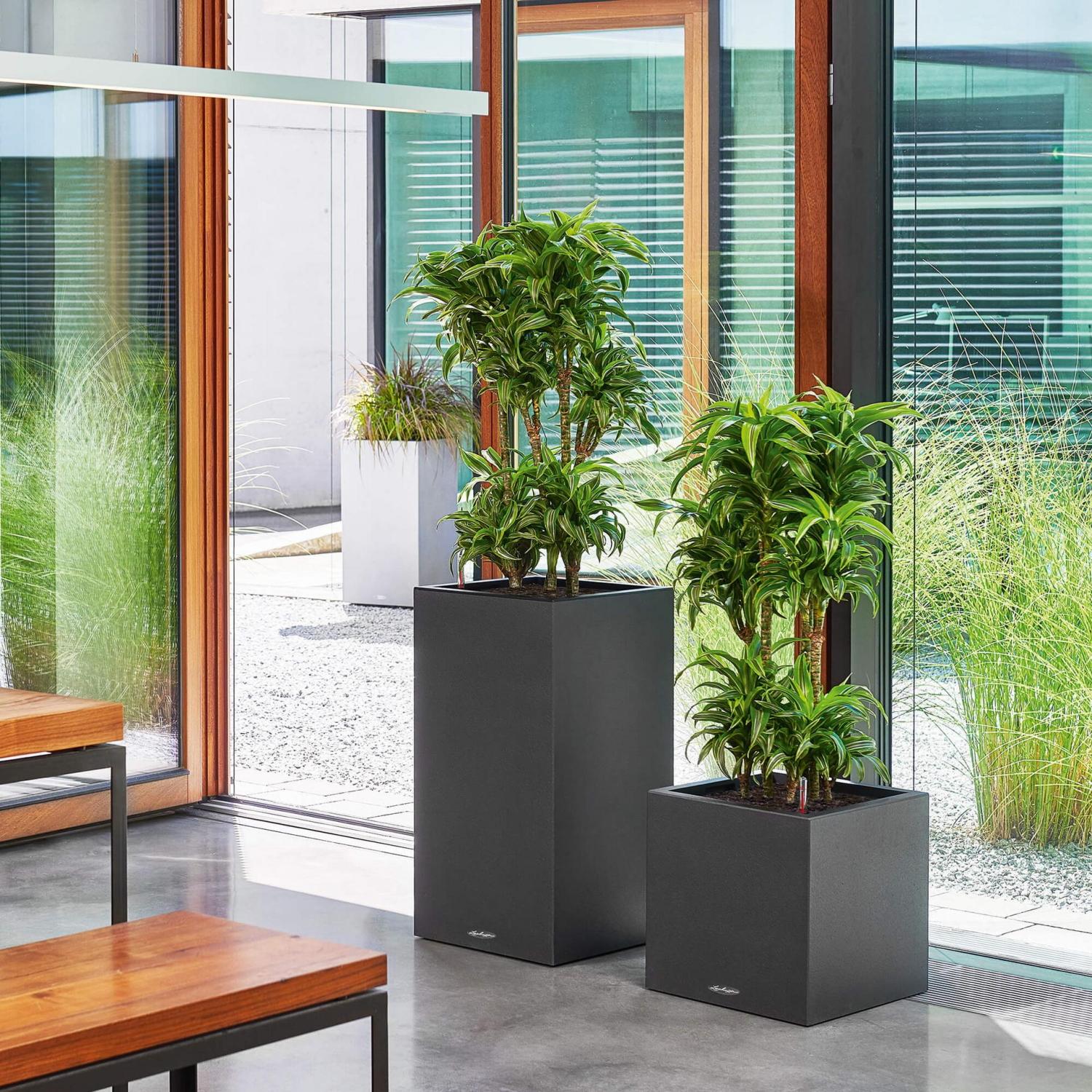 LECHUZA CANTO Stone High Square Tall Poly Resin Self-watering Planter