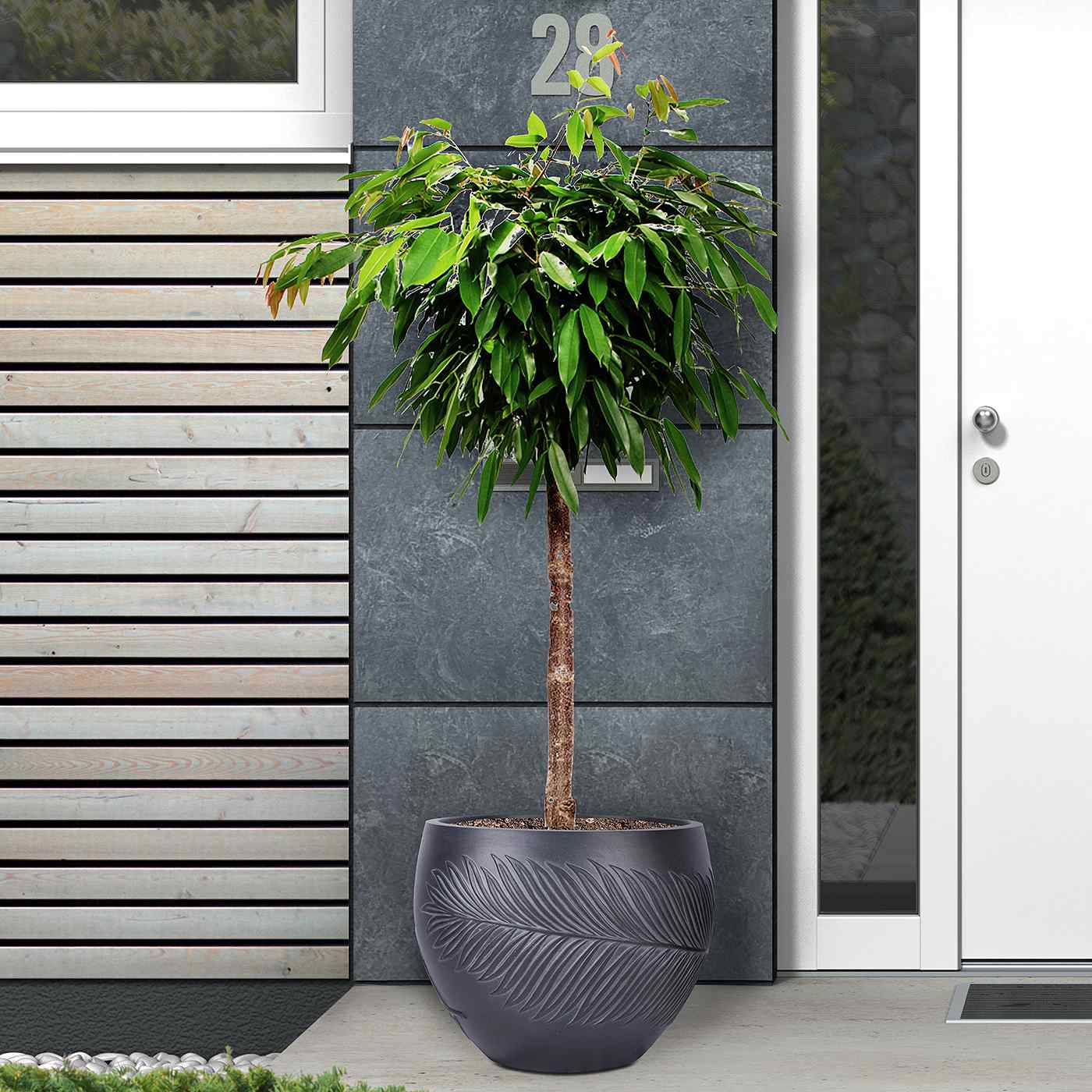 IDEALIST Lite Leaf Embossed Ball Planter
