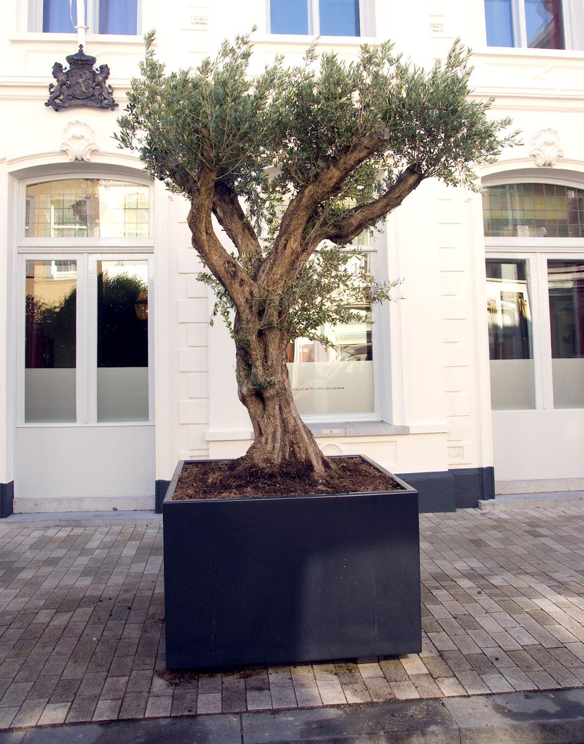 Florida Outdoor Aluminum Square Planter