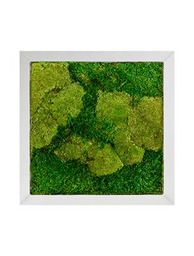 Moss Painting Superline Square