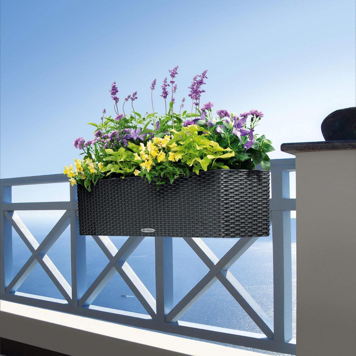 LECHUZA BALCONERA Cottage Trough Poly Resin Self-watering Planter Set