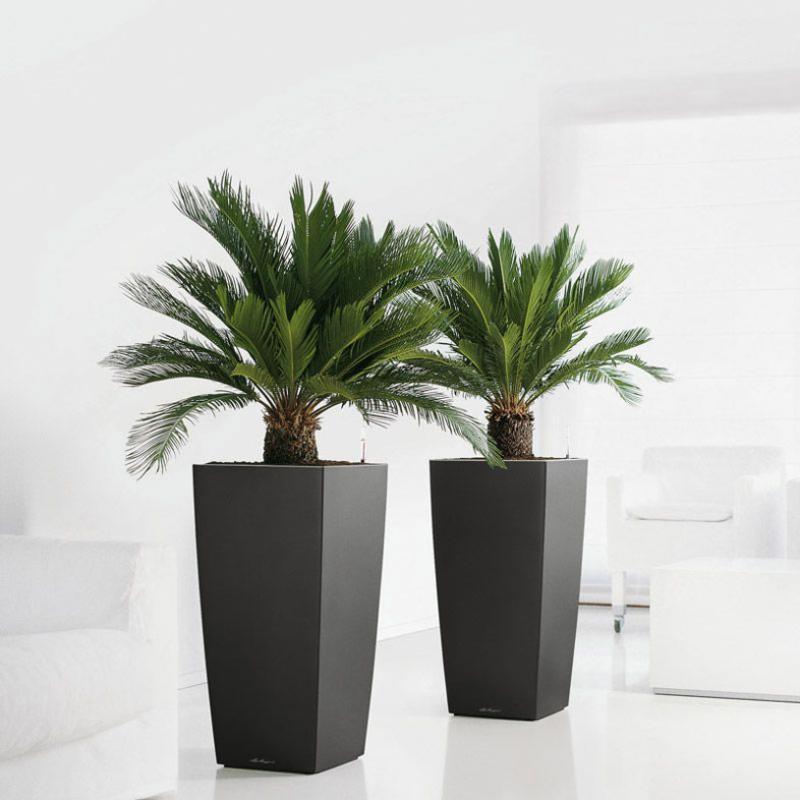 LECHUZA CUBICO Square Tall Poly Resin Self-watering Planter
