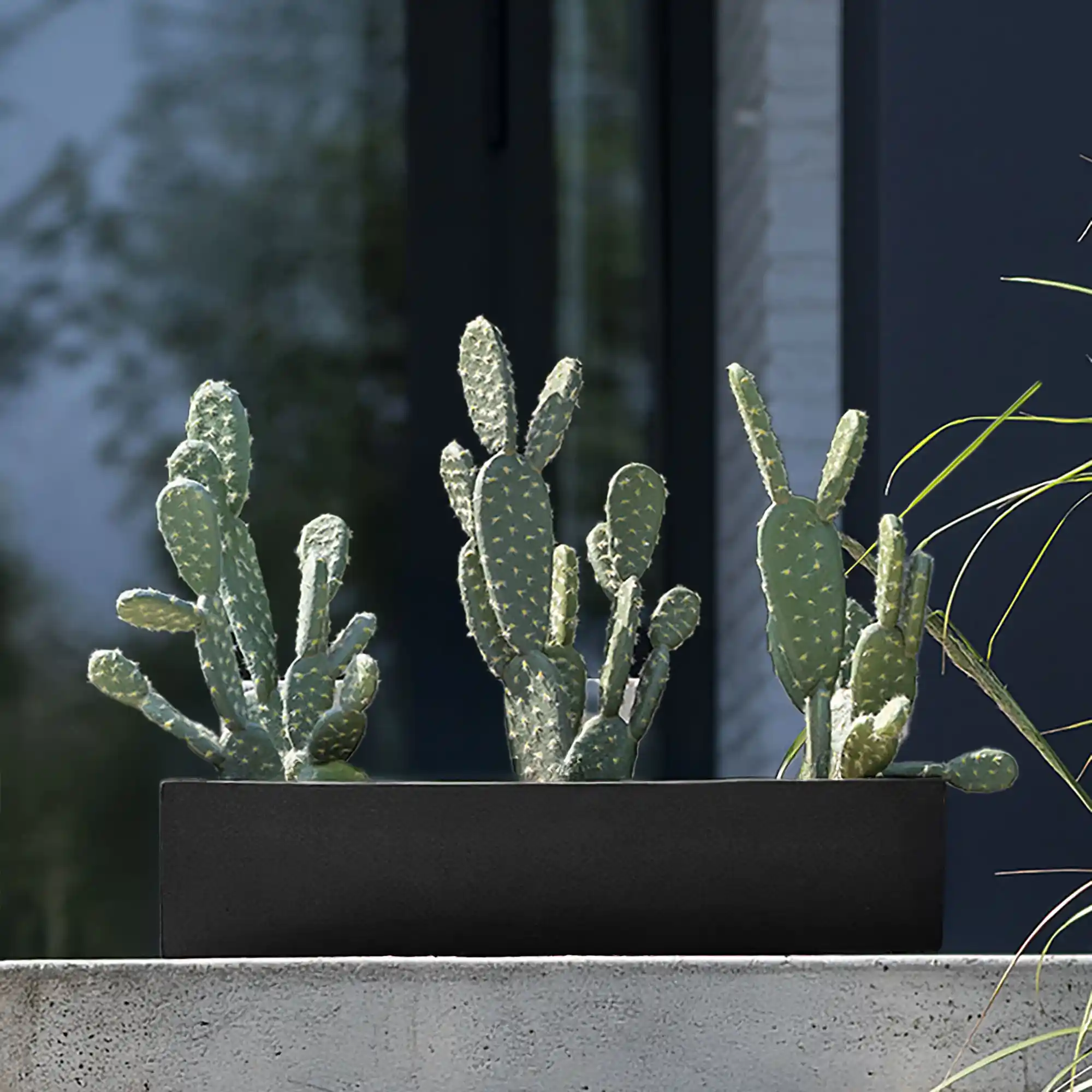 WINDOW BOX Fiberstone Slim Low Planter by Idealist Premium Balcony