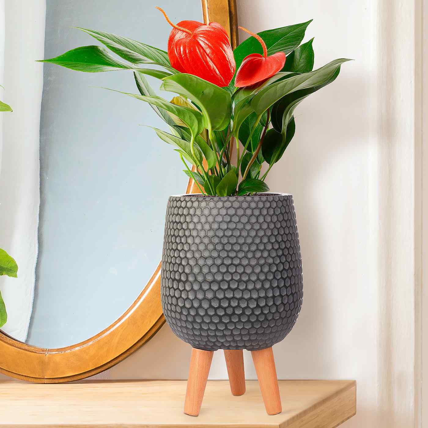 IDEALIST Lite Honeycomb Style Egg Planter on Legs, Round Pot Plant Stand Indoor