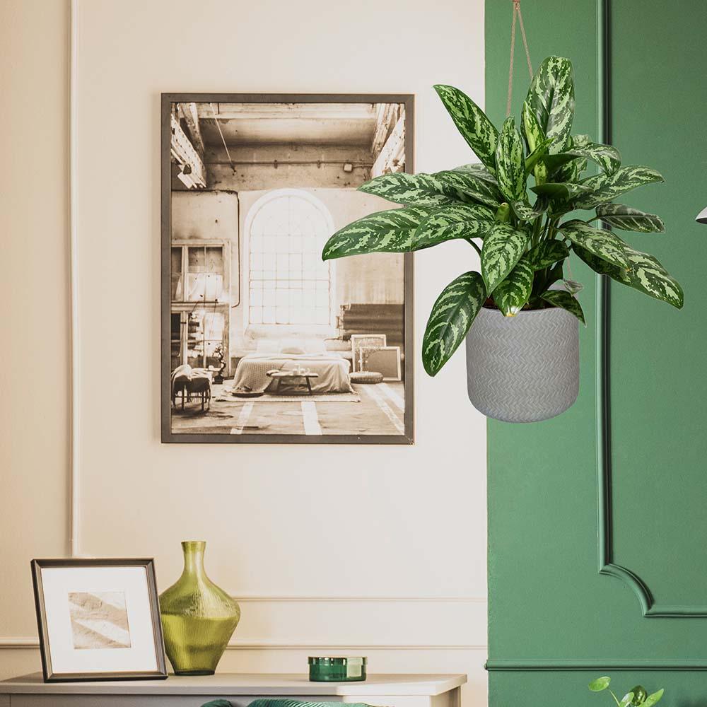 IDEALIST Lite Plaited Style Table and Hanging Cylinder Round Plant Pot Dual Use Indoor Planter