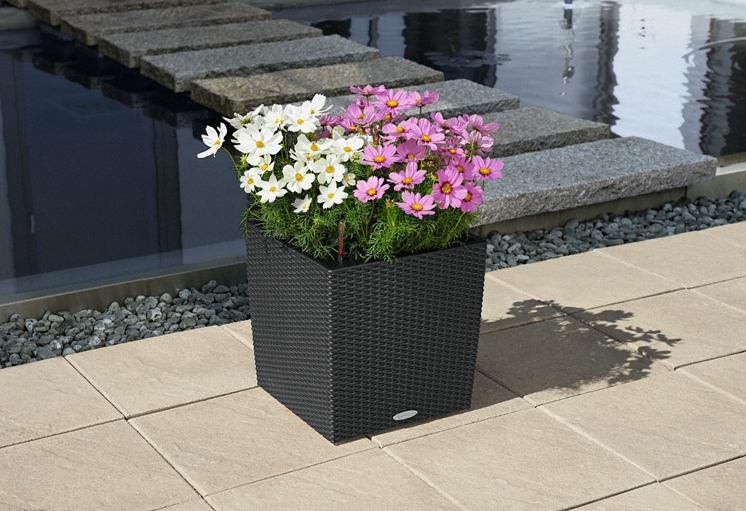 LECHUZA CUBE Cottage Square Poly Resin Self-watering Planter