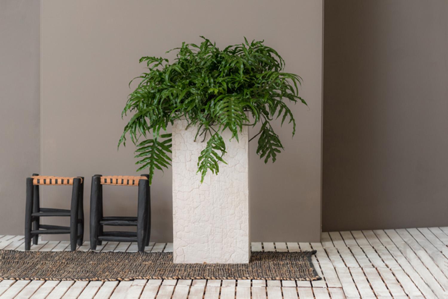 Tall Fiberstone Square Planter by Idealist Premium BOUVY