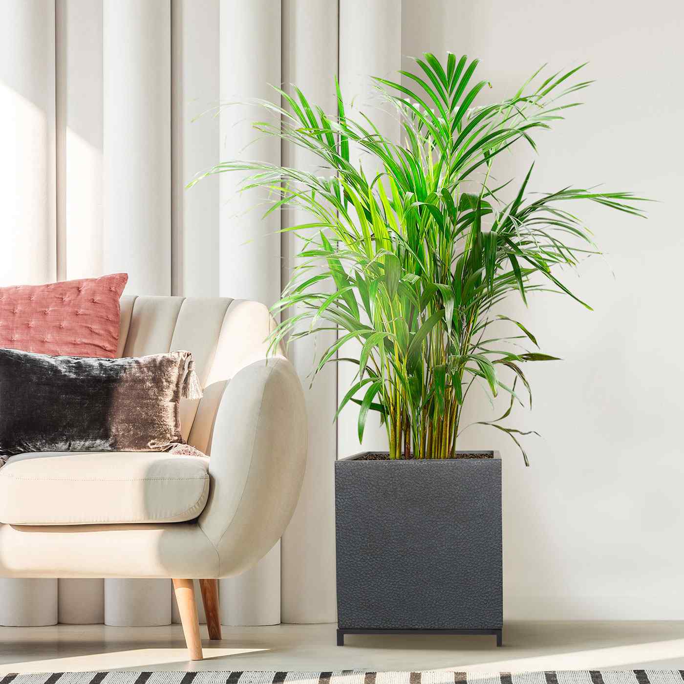 IDEALIST Lite Hammered Stone Style Square Indoor Planter on Metal Stand