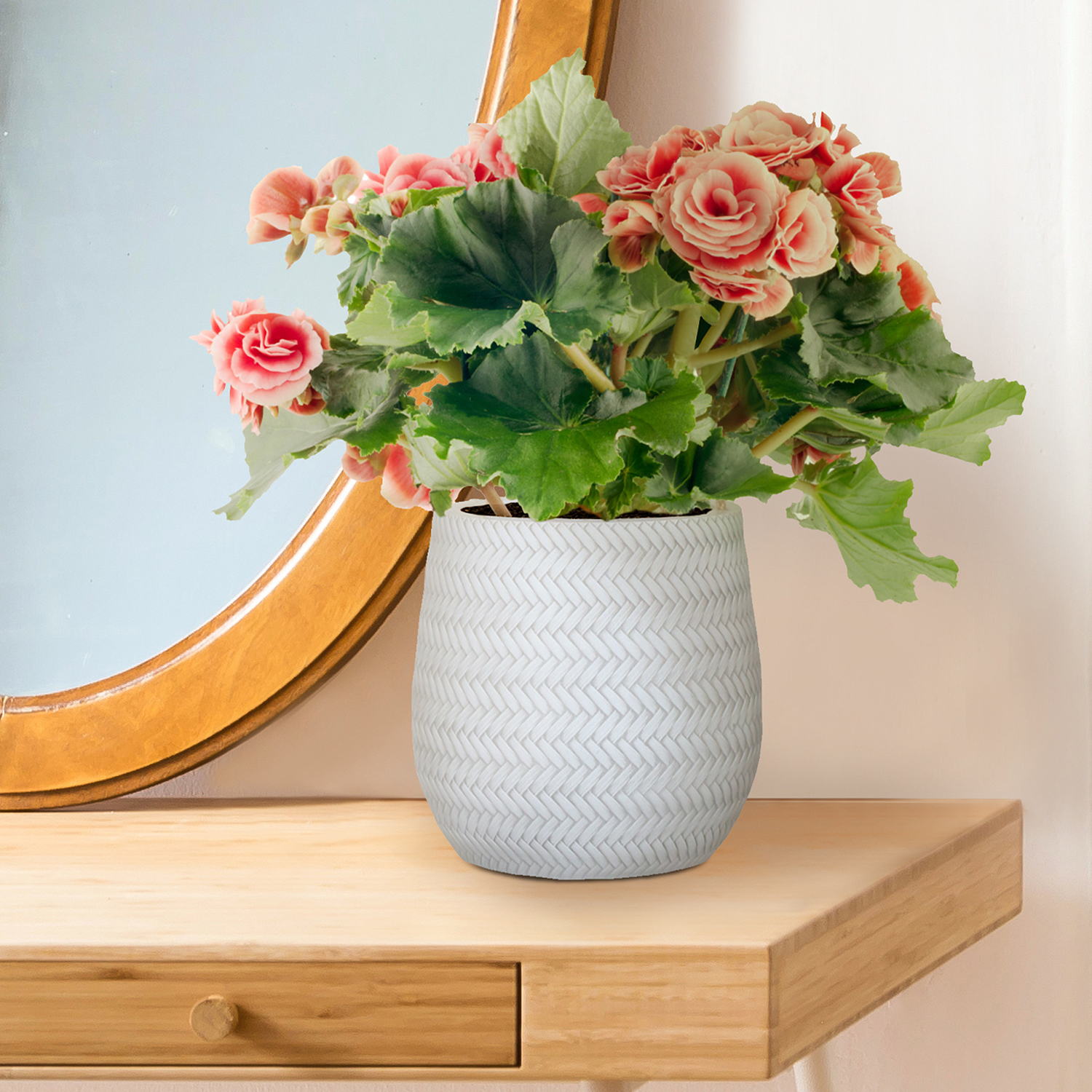 IDEALIST Lite Plaited Style Table and Hanging Plant Pot Dual Use Indoor Egg Planter