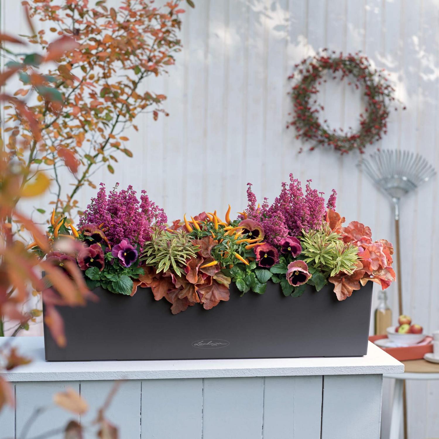 LECHUZA BALCONERA Color Trough Poly Resin Self-watering Planter